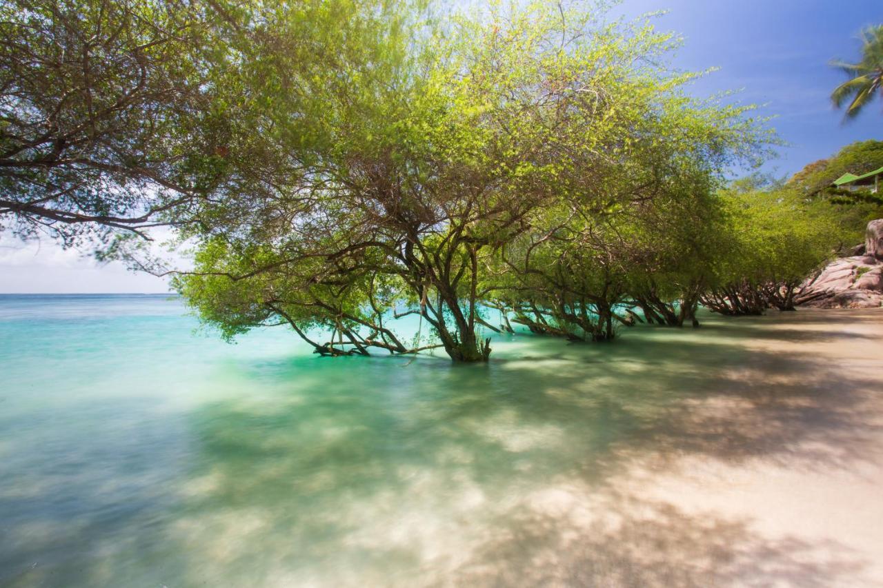 Koh Tao Relax Freedom Beach Resort Εξωτερικό φωτογραφία