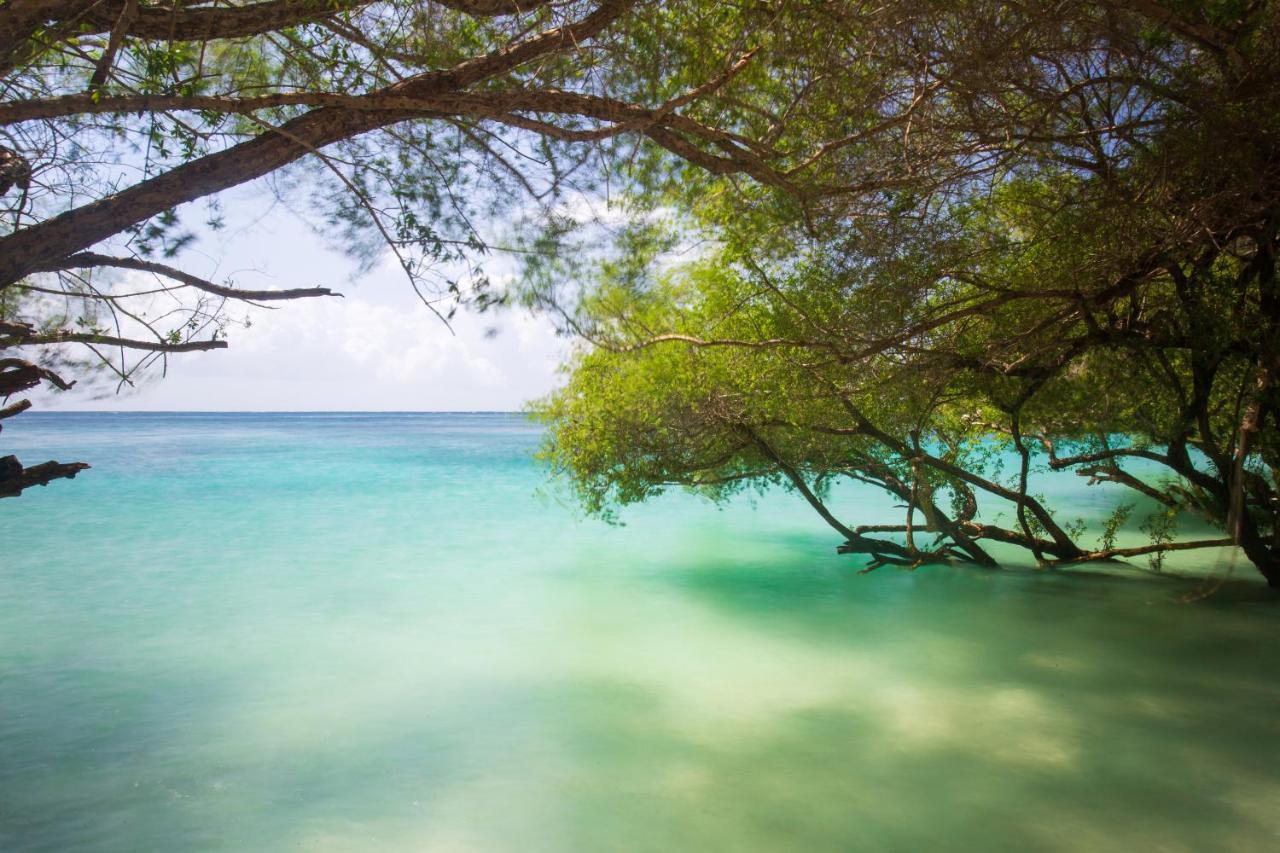 Koh Tao Relax Freedom Beach Resort Εξωτερικό φωτογραφία